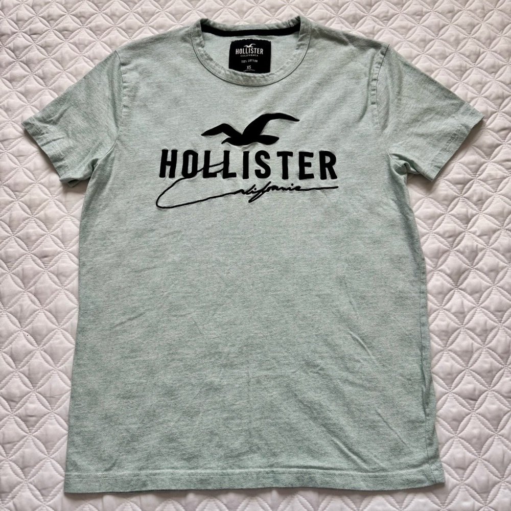 Hollister Applique Graphic Seagull Logo Short Sleeve T-Shirt Heather Mint Sz XS